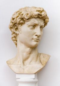 David