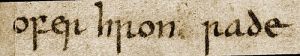 Cleopatra Glossaries.jpg
